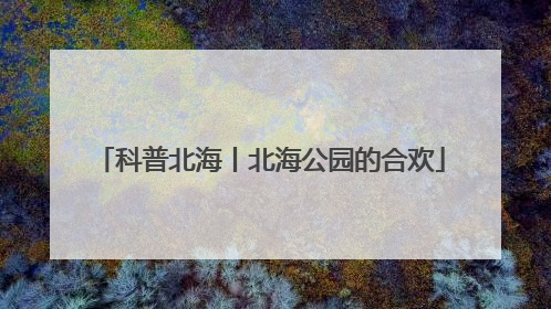科普北海丨北海公园的合欢