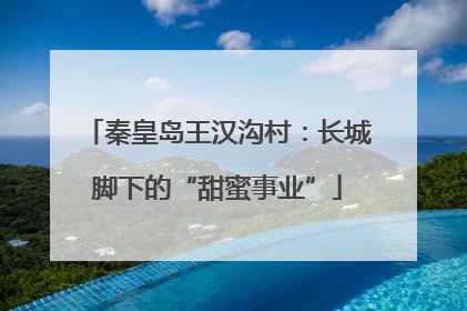 秦皇岛王汉沟村：长城脚下的“甜蜜事业”