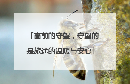 窗前的守望，守望的是旅途的温暖与安心