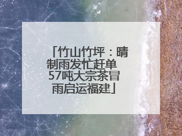 竹山竹坪：晴制雨发忙赶单 57吨大宗茶冒雨启运福建