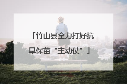 竹山县全力打好抗旱保苗“主动仗”