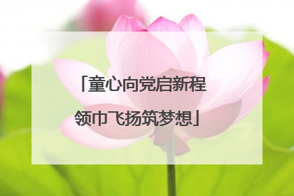 童心向党启新程 领巾飞扬筑梦想