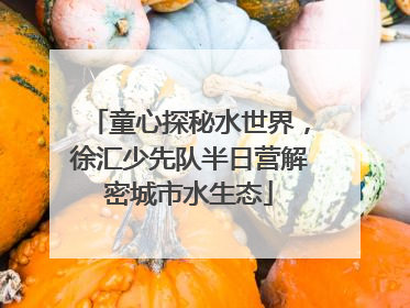 童心探秘水世界，徐汇少先队半日营解密城市水生态