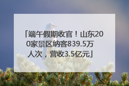端午假期收官！山东200家景区纳客839.5万人次，营收3.5亿元