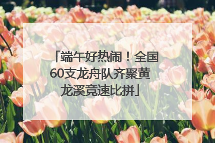 端午好热闹！全国60支龙舟队齐聚黄龙溪竞速比拼