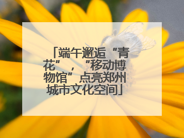 端午邂逅“青花”，“移动博物馆”点亮郑州城市文化空间
