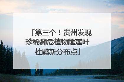 第三个！贵州发现珍稀濒危植物睡莲叶杜鹃新分布点