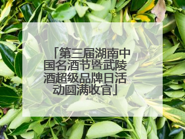 第三届湖南中国名酒节暨武陵酒超级品牌日活动圆满收官