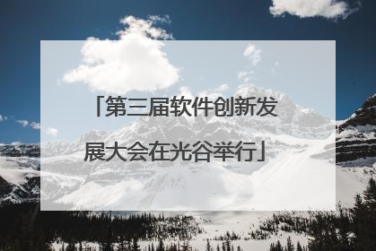 第三届软件创新发展大会在光谷举行