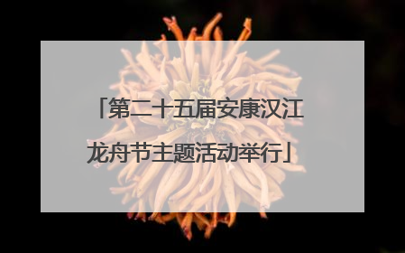 第二十五届安康汉江龙舟节主题活动举行