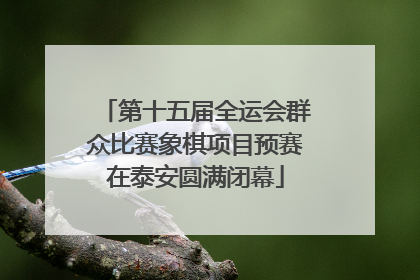 第十五届全运会群众比赛象棋项目预赛在泰安圆满闭幕