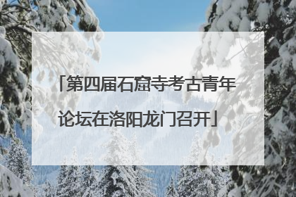 第四届石窟寺考古青年论坛在洛阳龙门召开