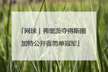 网球｜弗里茨夺得斯图加特公开赛男单冠军