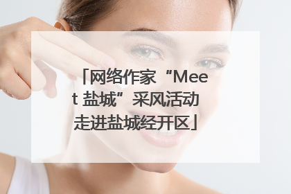 网络作家“Meet 盐城”采风活动走进盐城经开区