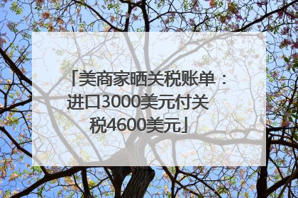 美商家晒关税账单：进口3000美元付关税4600美元