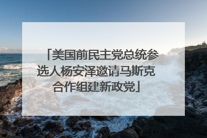 美国前民主党总统参选人杨安泽邀请马斯克合作组建新政党