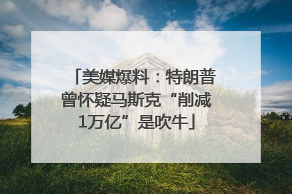 美媒爆料：特朗普曾怀疑马斯克“削减1万亿”是吹牛