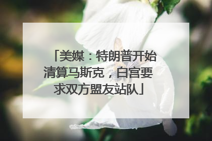 美媒：特朗普开始清算马斯克，白宫要求双方盟友站队