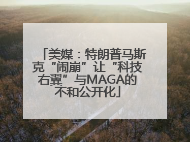 美媒:特朗普马斯克“闹崩”让“科技右翼”与MAGA的不和公开化