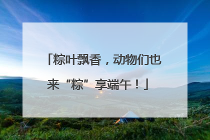 粽叶飘香，动物们也来“粽”享端午！