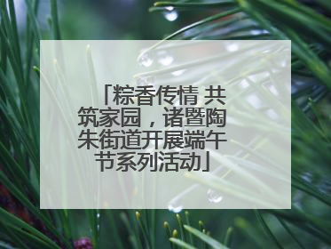 粽香传情 共筑家园，诸暨陶朱街道开展端午节系列活动