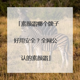 素颜霜哪个牌子好用安全？全网公认的素颜霜
