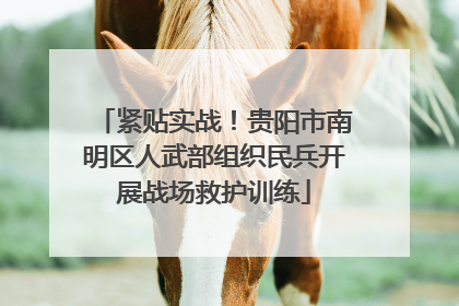 紧贴实战！贵阳市南明区人武部组织民兵开展战场救护训练