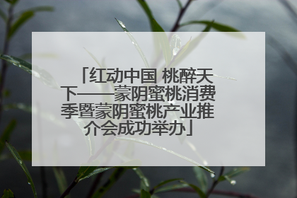 红动中国 桃醉天下——蒙阴蜜桃消费季暨蒙阴蜜桃产业推介会成功举办