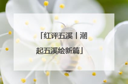 红评五溪丨潮起五溪绘新篇