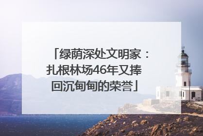 绿荫深处文明家：扎根林场46年又捧回沉甸甸的荣誉