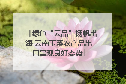 绿色“云品”扬帆出海 云南玉溪农产品出口呈现良好态势
