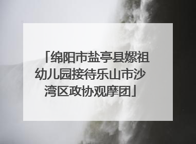 绵阳市盐亭县嫘祖幼儿园接待乐山市沙湾区政协观摩团