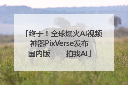 终于！全球爆火AI视频神器PixVerse发布国内版——拍我AI