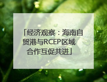 经济观察：海南自贸港与RCEP区域合作互促共进