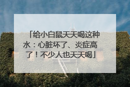 给小白鼠天天喝这种水：心脏坏了、炎症高了！不少人也天天喝