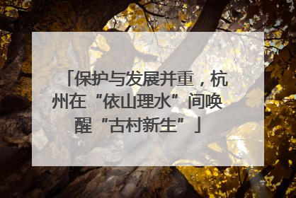 保护与发展并重，杭州在“依山理水”间唤醒“古村新生”