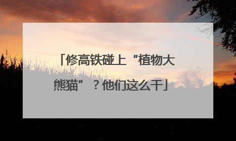 修高铁碰上“植物大熊猫”？他们这么干