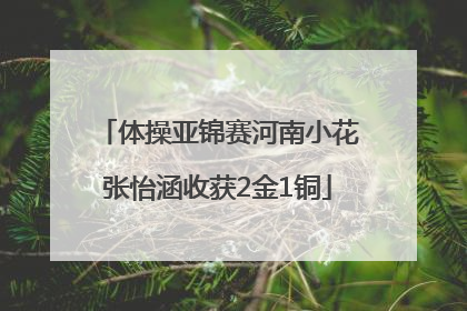 体操亚锦赛河南小花张怡涵收获2金1铜