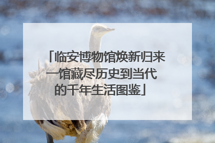 临安博物馆焕新归来 一馆藏尽历史到当代的千年生活图鉴
