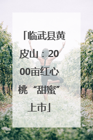 临武县黄皮山：2000亩红心桃“甜蜜”上市