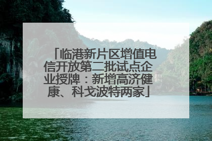 临港新片区增值电信开放第二批试点企业授牌：新增高济健康、科戈波特两家