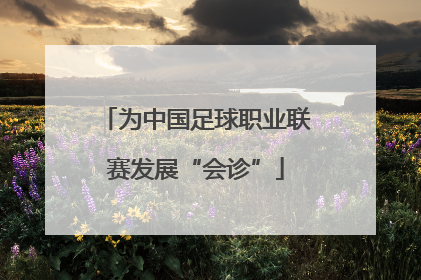为中国足球职业联赛发展“会诊”