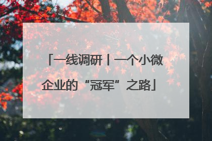 一线调研丨一个小微企业的“冠军”之路