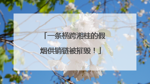 一条横跨湘桂的假烟供销链被摧毁！