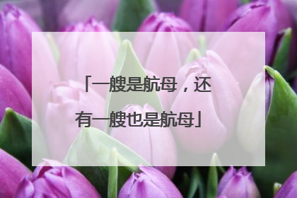 一艘是航母，还有一艘也是航母