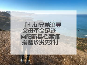 七旬兄弟追寻父母革命足迹 向阳新县档案馆捐赠珍贵史料