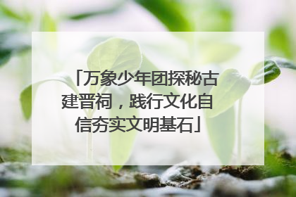 万象少年团探秘古建晋祠，践行文化自信夯实文明基石