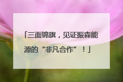 三面锦旗，见证振森能源的“非凡合作”！