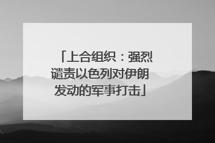 上合组织：强烈谴责以色列对伊朗发动的军事打击