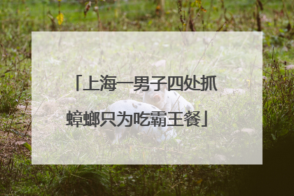 上海一男子四处抓蟑螂只为吃霸王餐